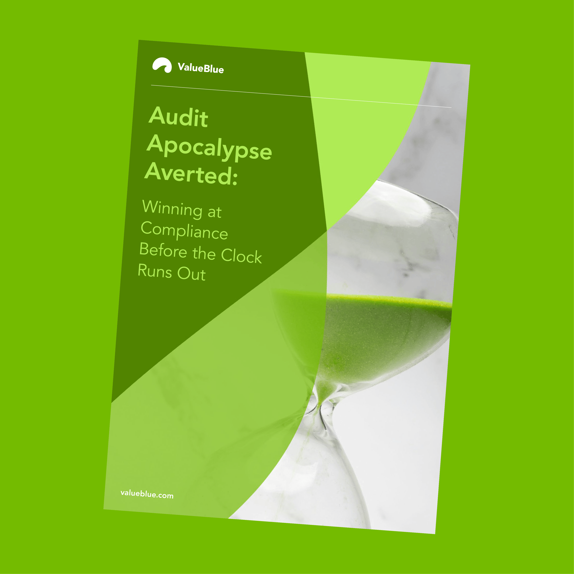 Ebook - Audit Apocalypse Averted - Landing Page Image