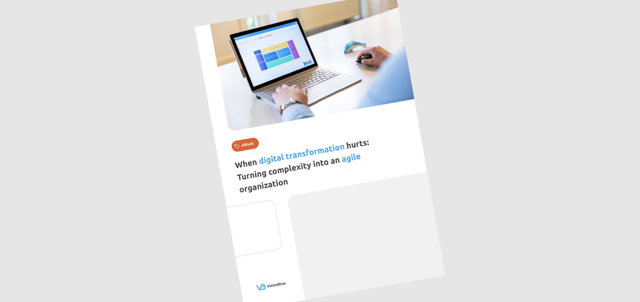 eBook-ValueBlue-When-digital-transformation-hurts-Turning-complexity-into-an-agile-organization-web-2